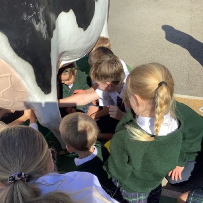 Careers Day