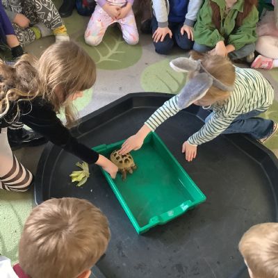 A busy week for Year 1!