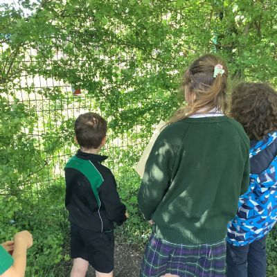 Eco Warriors